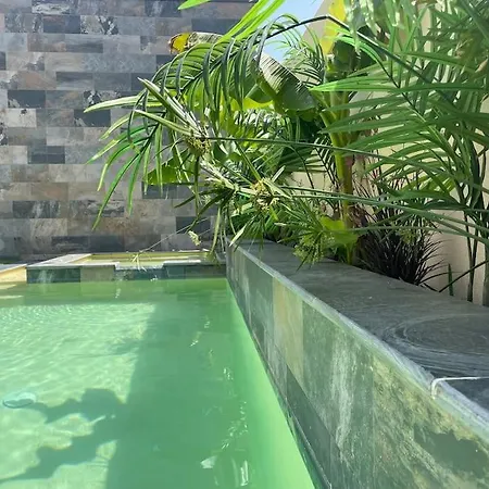Vila  tropicale Entre Nimes Avignon Et Arles *